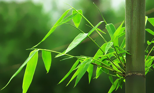 �u�|�v�f��